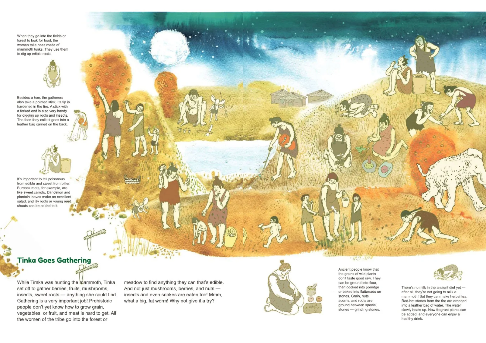 Sample spread: Tinka Goes Gathering