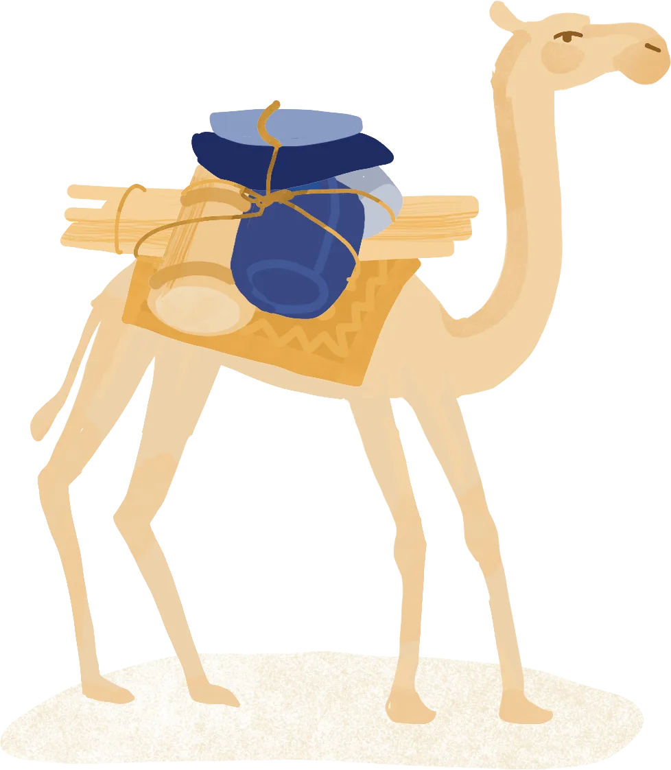 A loaded pack camel